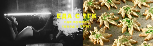 ECSTASY Бородино