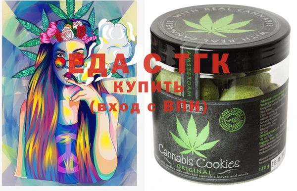 ECSTASY Бородино
