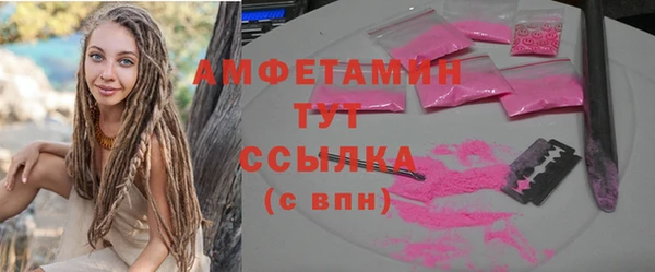 индика Бронницы
