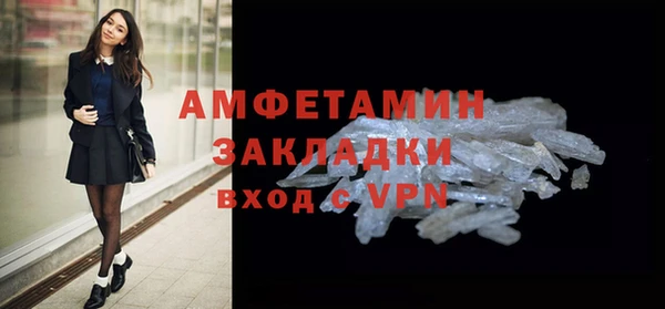 ECSTASY Бородино