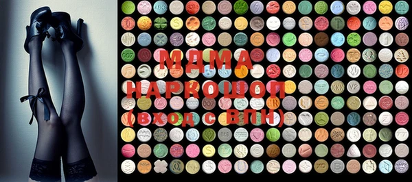 ECSTASY Бородино