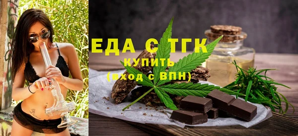 индика Бронницы