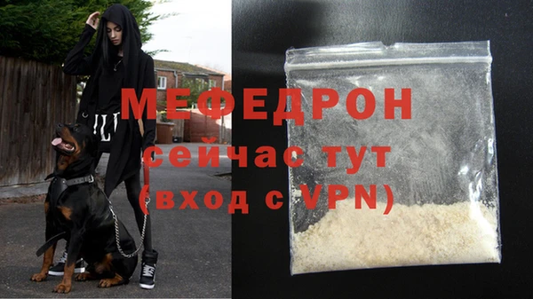 индика Бронницы