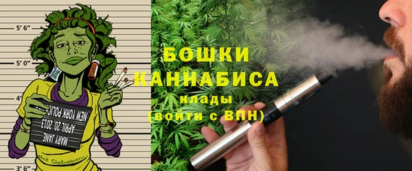ECSTASY Бородино