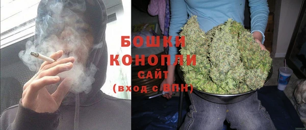 индика Бронницы